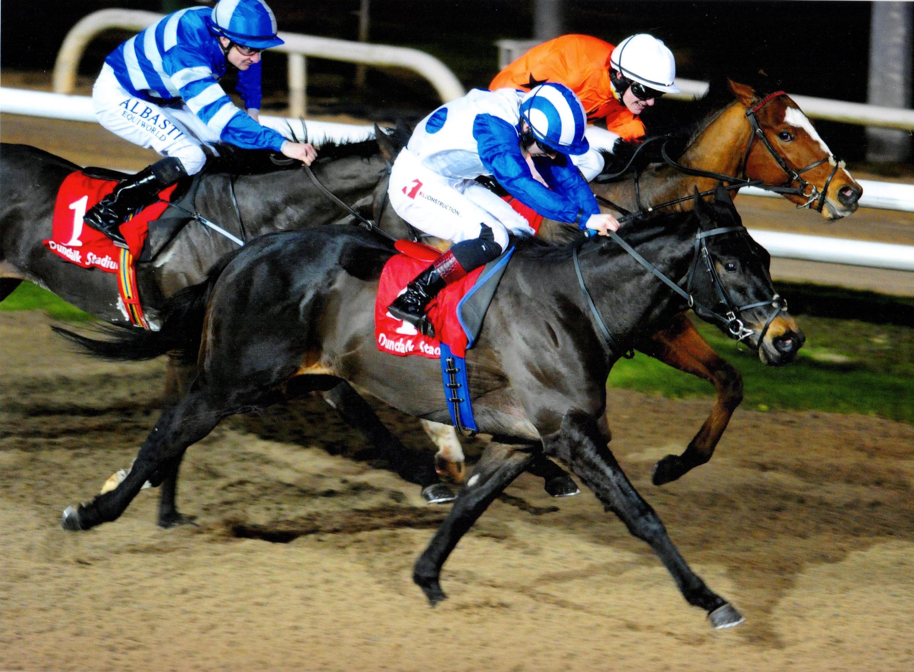 BUDDHA BOY wins at Dundalk 7th December 2016